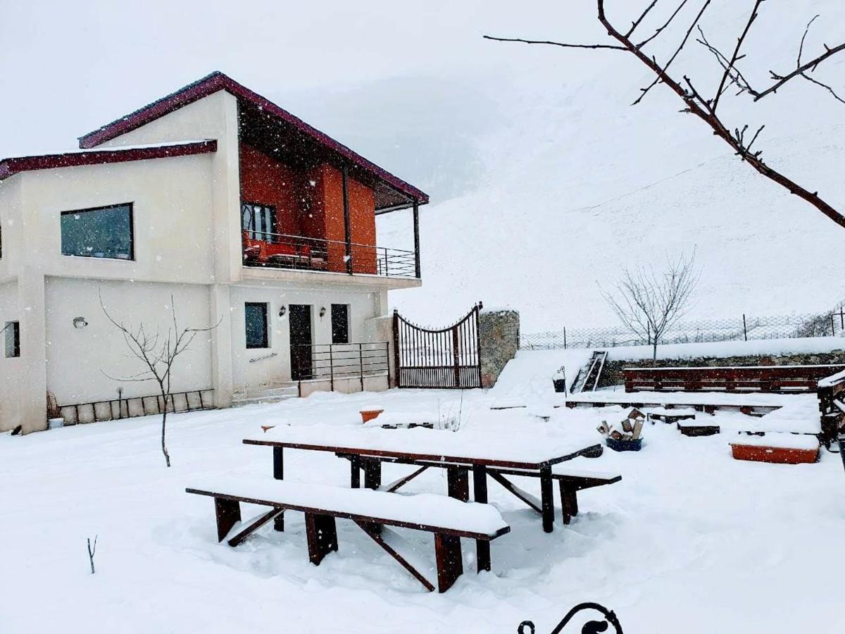 ---Allegria House--- 卡兹贝吉 外观 照片