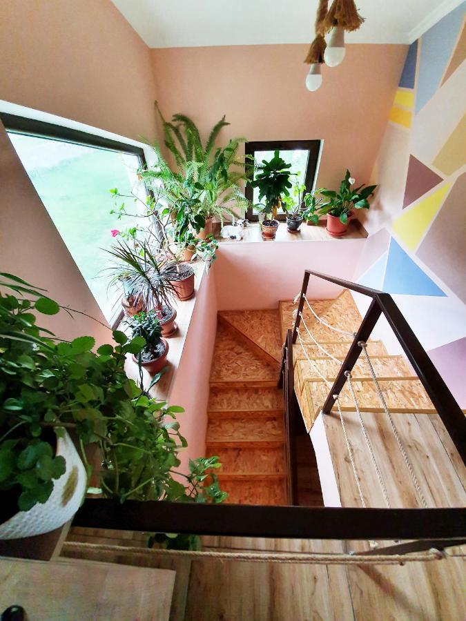 ---Allegria House--- 卡兹贝吉 外观 照片